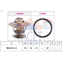 TERMOSTAT TM621325FC
