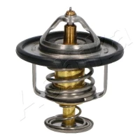 TERMOSTAT TM636593AA