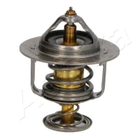 TERMOSTAT TM641054AA