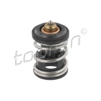 TERMOSTAT TM687104TP