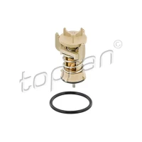 TERMOSTAT TM689858TP