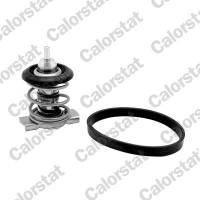 TERMOSTAT TM705968CT