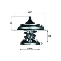 TERMOSTAT TM706068MH