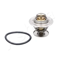TERMOSTAT TM733822AA