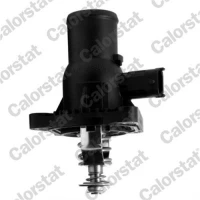 TERMOSTAT TM750210CT