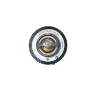 TERMOSTAT TM756788NF