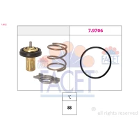 TERMOSTAT TM759739FC