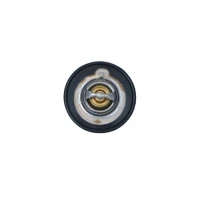 TERMOSTAT TM764179NF
