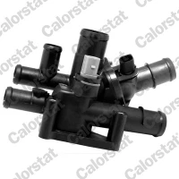 TERMOSTAT TM783896CT