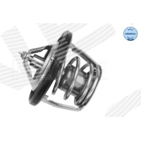 TERMOSTAT TM798868ML