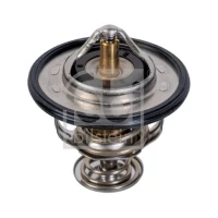 TERMOSTAT TM803656FI