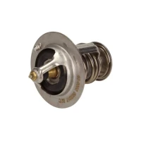 TERMOSTAT TM817550MX