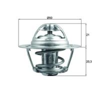 TERMOSTAT TM817821MH