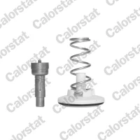 TERMOSTAT TM841743CT