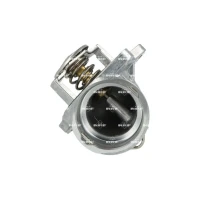 TERMOSTAT TM850239NF