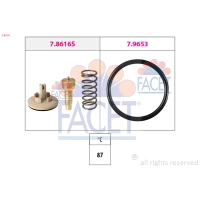 TERMOSTAT TM862926FC