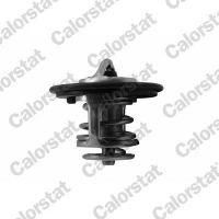 TERMOSTAT TM869942CT