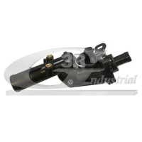 TERMOSTAT TM870398RG
