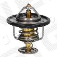 TERMOSTAT TM874978PK