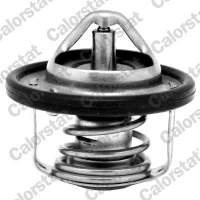 TERMOSTAT TM879245CT