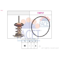 TERMOSTAT TM890395FC