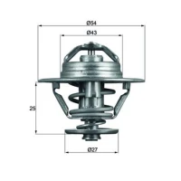 TERMOSTAT TM892173MH