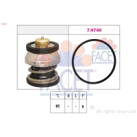 TERMOSTAT TM894405FC