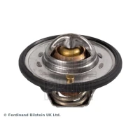 TERMOSTAT TM909855BR