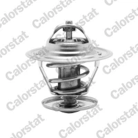 TERMOSTAT TM914075CT