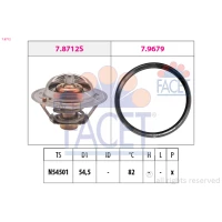 TERMOSTAT TM920220FC