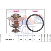 TERMOSTAT TM935801FC