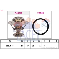 TERMOSTAT TM956612FC