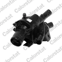 TERMOSTAT TM958124CT