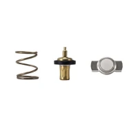 TERMOSTAT TM963966MH