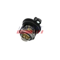 TERMOSTAT TM977188FST