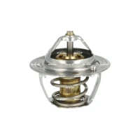 TERMOSTAT TM979774NF