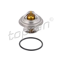 TERMOSTAT TM982677TP