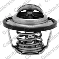 TERMOSTAT TM984768CT