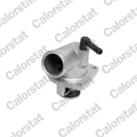 TERMOSTAT TM987901CT