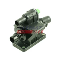 TERMOSTAT TM990243FST