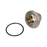 TERMOSTAT TM993212MX