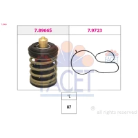 TERMOSTAT TM993888FC