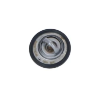 TERMOSTAT TM994557NF
