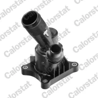 TERMOSTAT TM996178CT