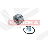PIASTA KOŁA  WBK763608KK