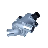 POMPA WODNA WP171671MX