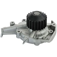 POMPA WODNA WP818061DNC