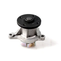 POMPA WODNA WP824256HPU
